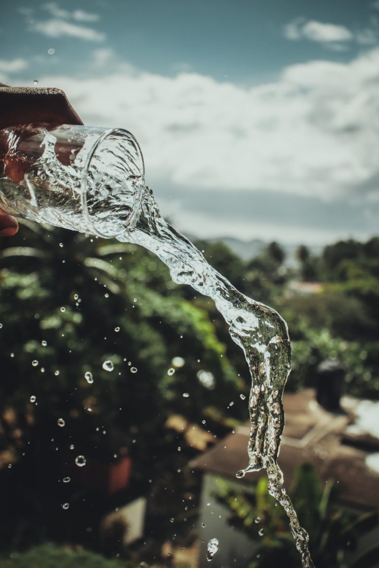 As principais doenças ocasionadas por água contaminada.